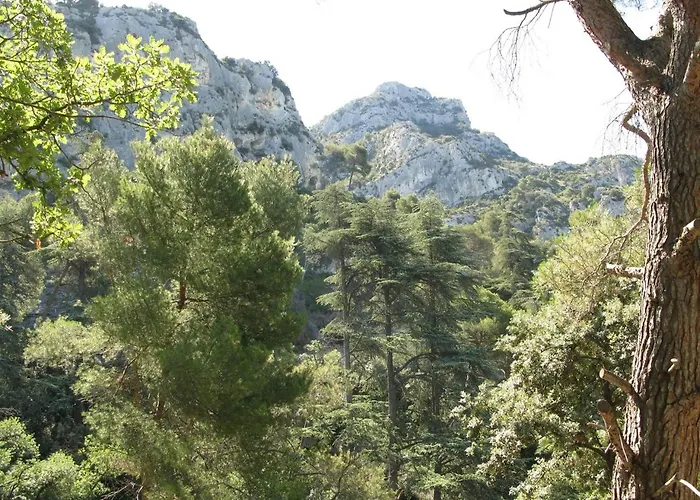 CABANE perchée dans les arbres et terrasse ensoleillée