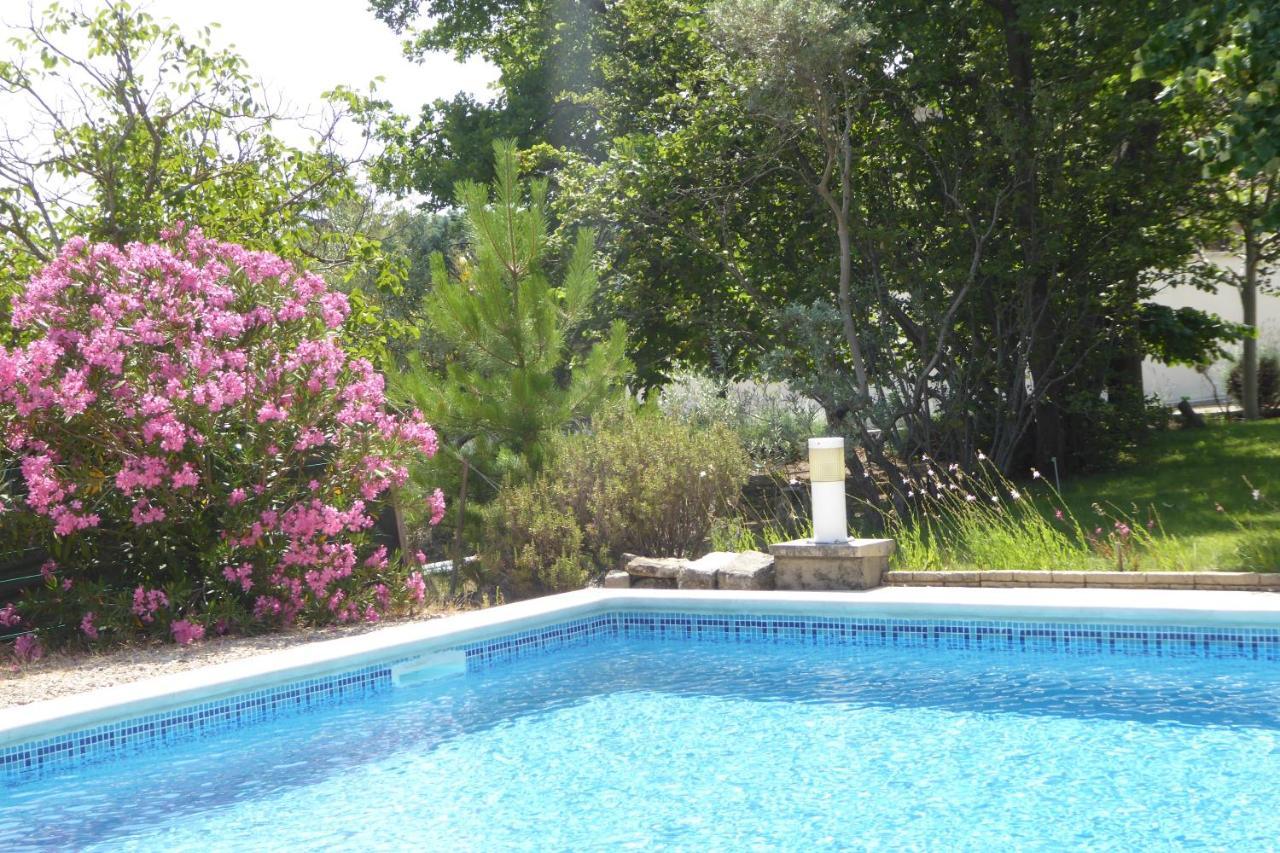 Apartamento Perchée Dans Les Arbres Et Terrasse Ensoleillée *
