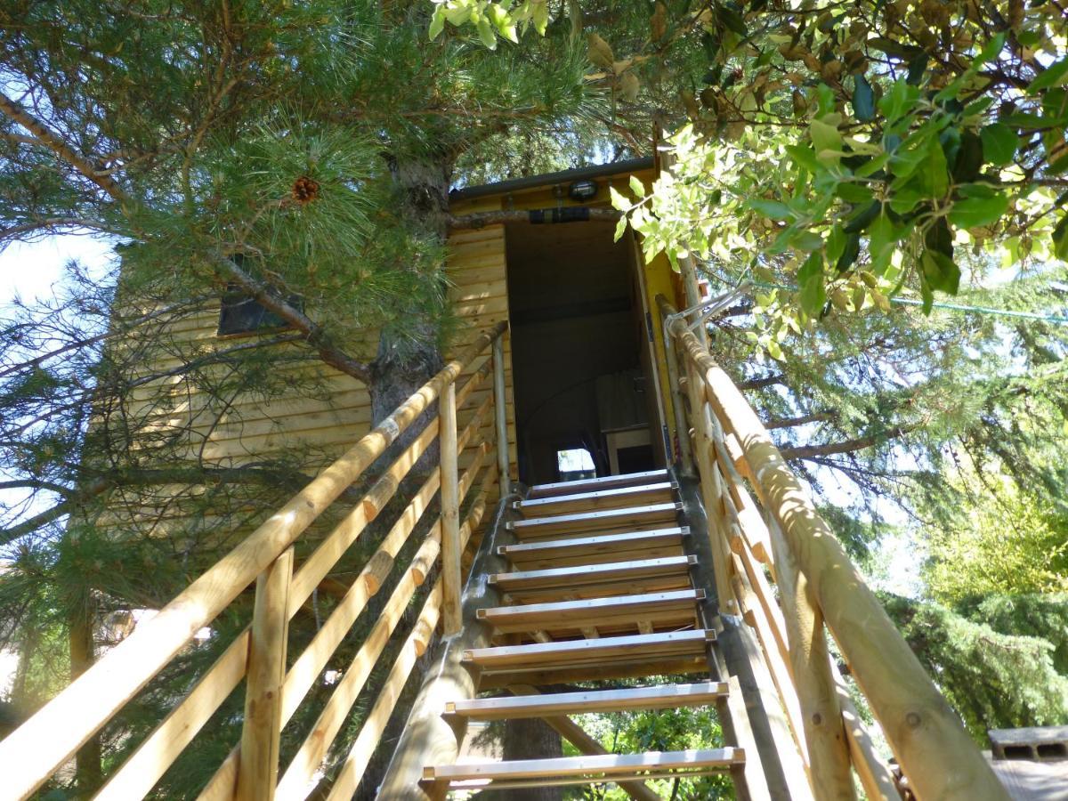 Perchée Dans Les Arbres Et Terrasse Ensoleillée
