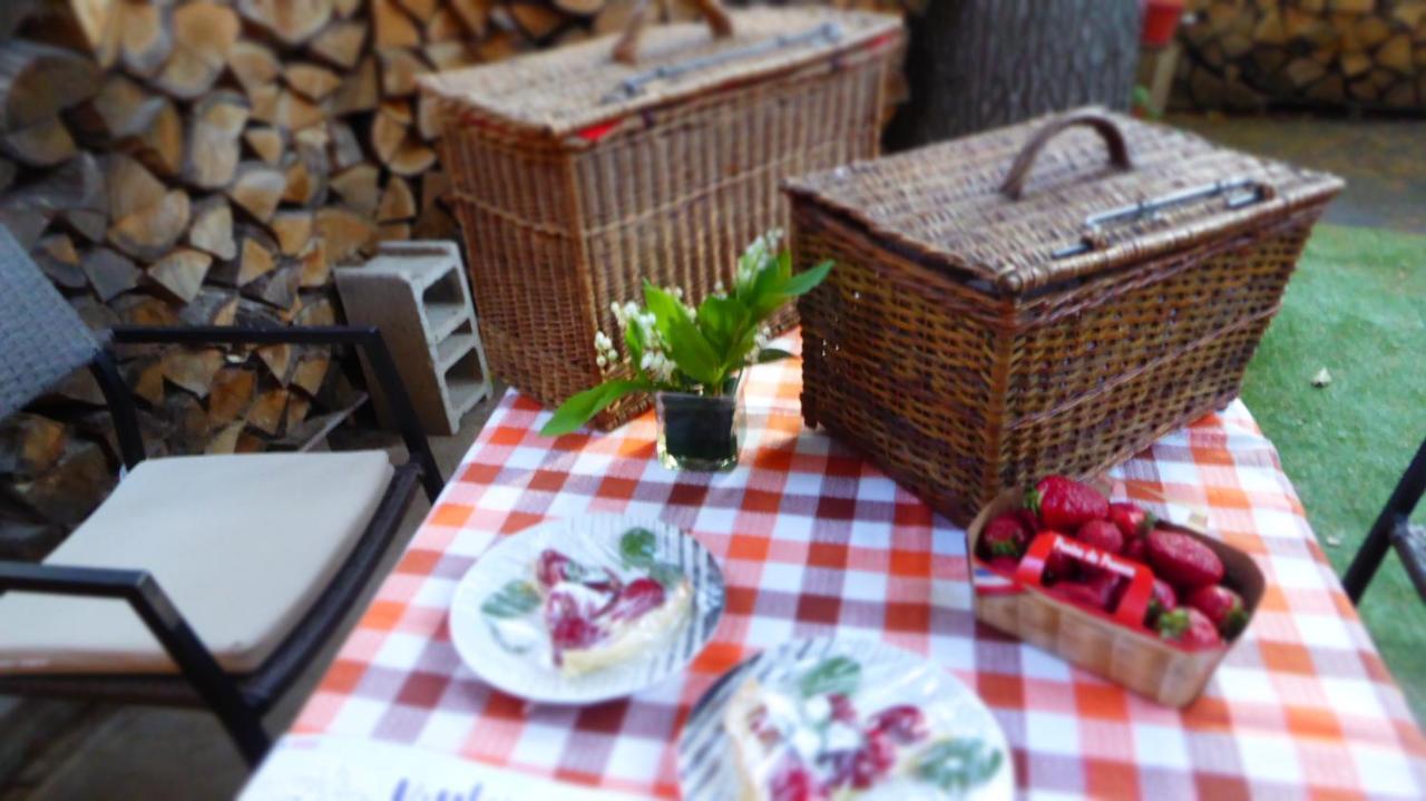 Perchée Dans Les Arbres Et Terrasse Ensoleillée