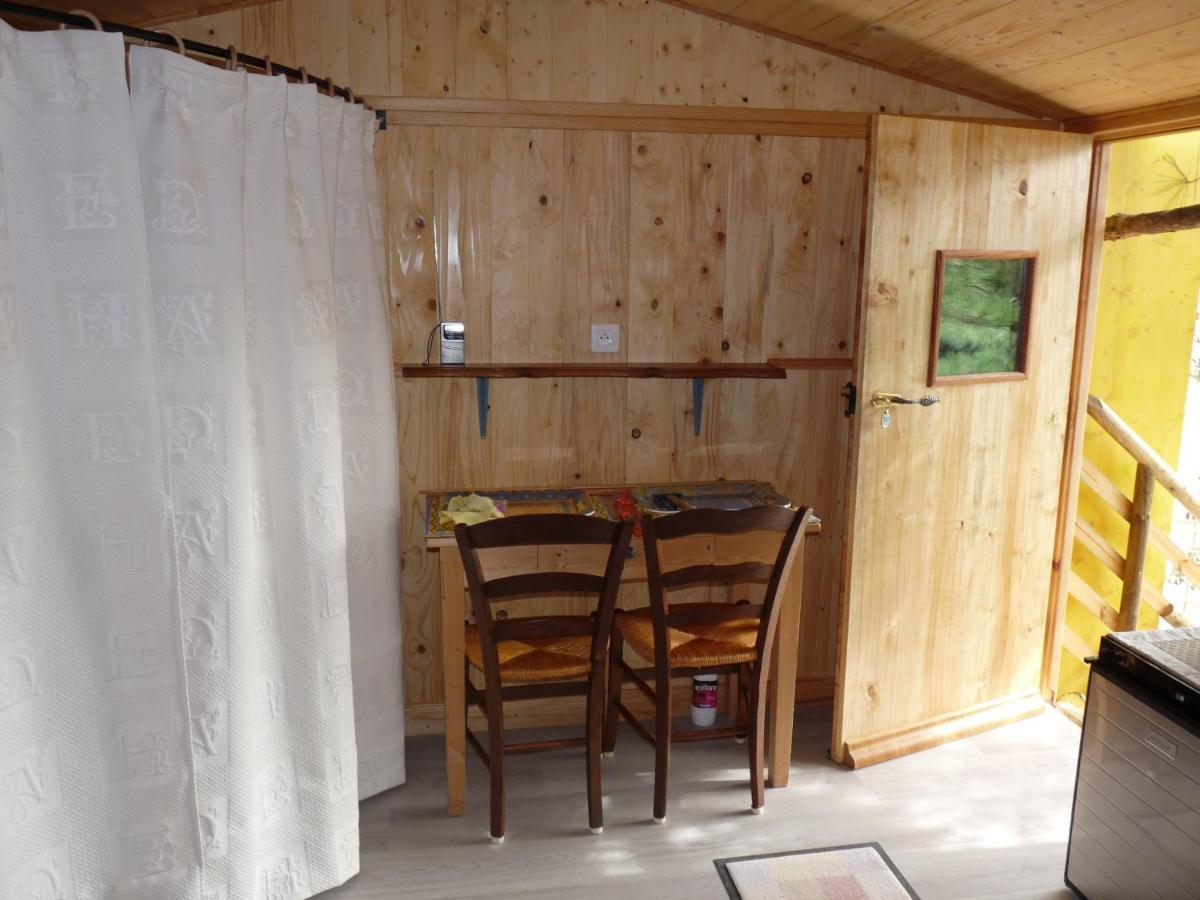 Perchée Dans Les Arbres Et Terrasse Ensoleillée