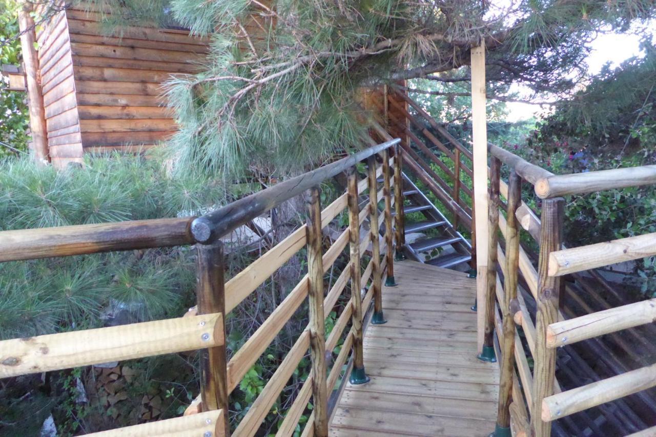 Perchée Dans Les Arbres Et Terrasse Ensoleillée Robion en Luberon