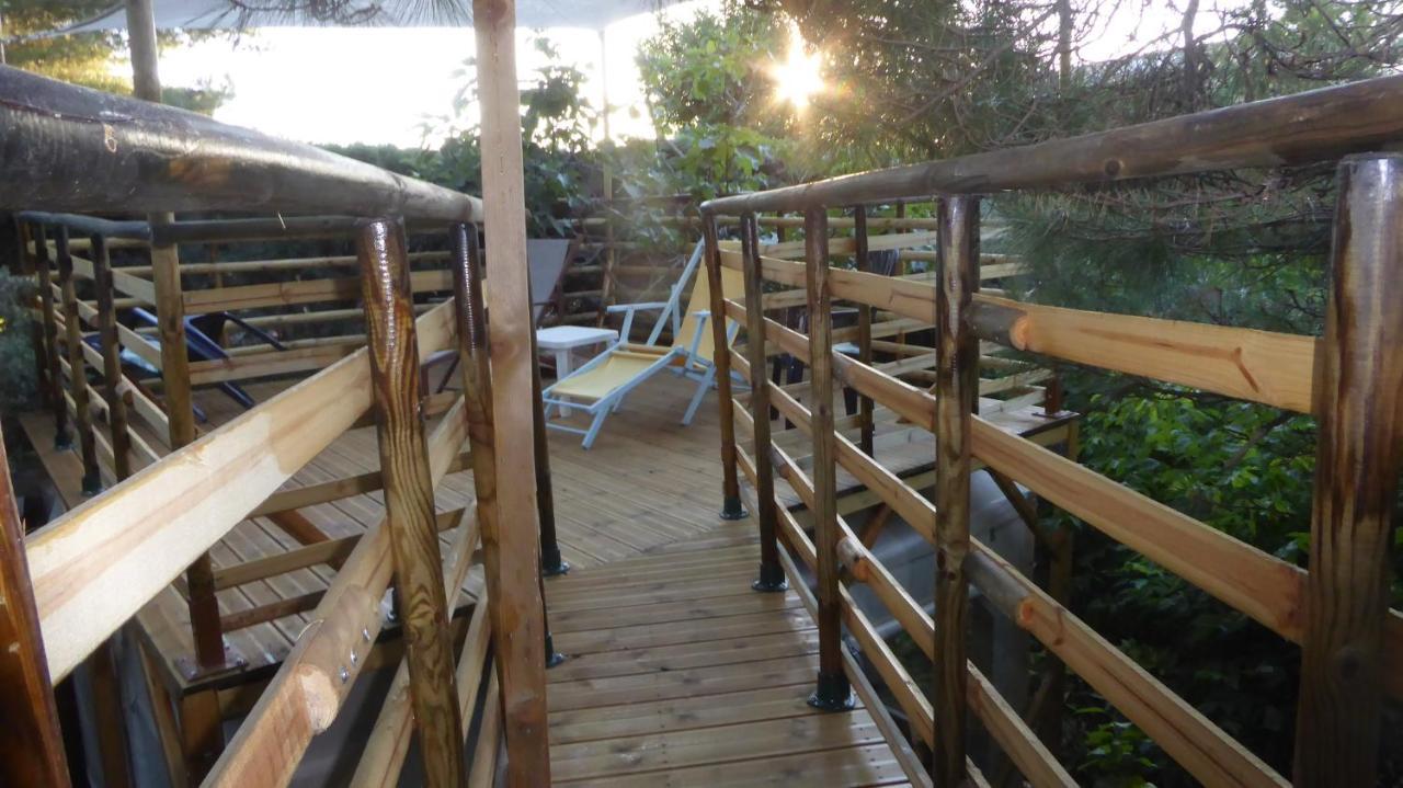 Perchée Dans Les Arbres Et Terrasse Ensoleillée Robion en Luberon