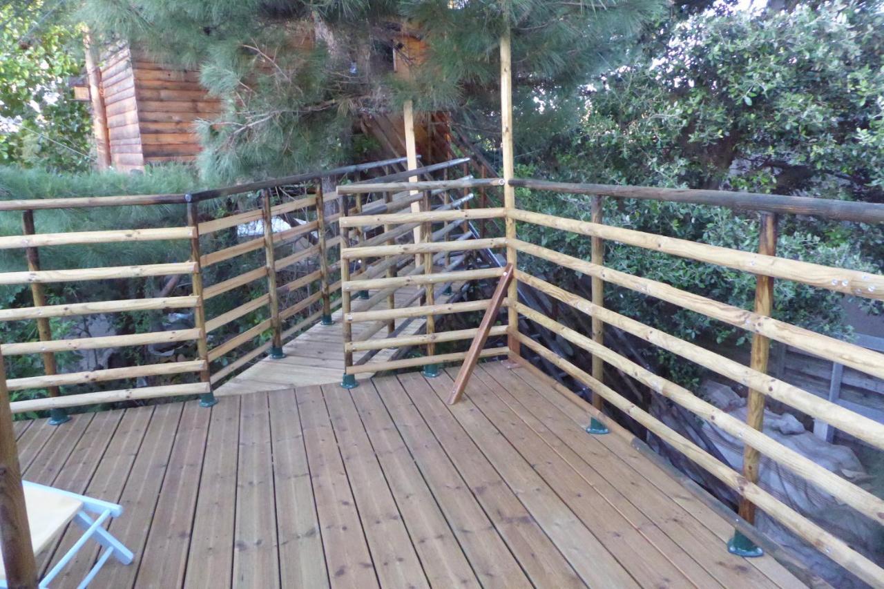 Appartement Perchée Dans Les Arbres Et Terrasse Ensoleillée
