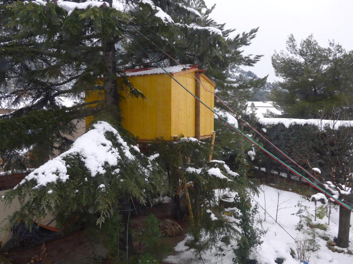 Apartamento Perchée Dans Les Arbres Et Terrasse Ensoleillée *