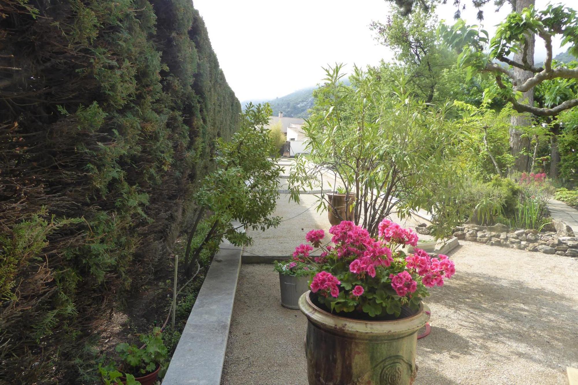 Perchée Dans Les Arbres Et Terrasse Ensoleillée