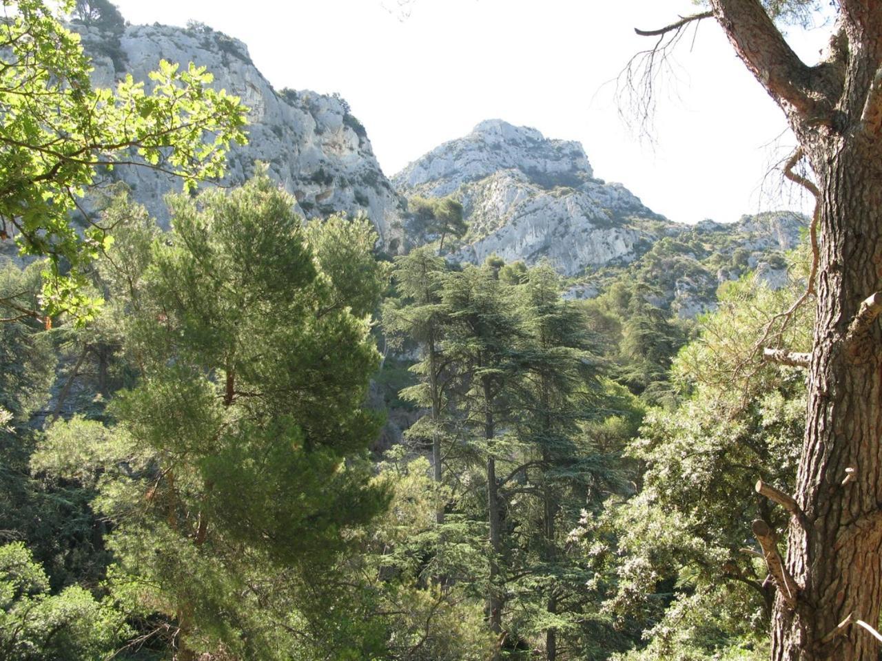 Perchée Dans Les Arbres Et Terrasse Ensoleillée Appartement Robion